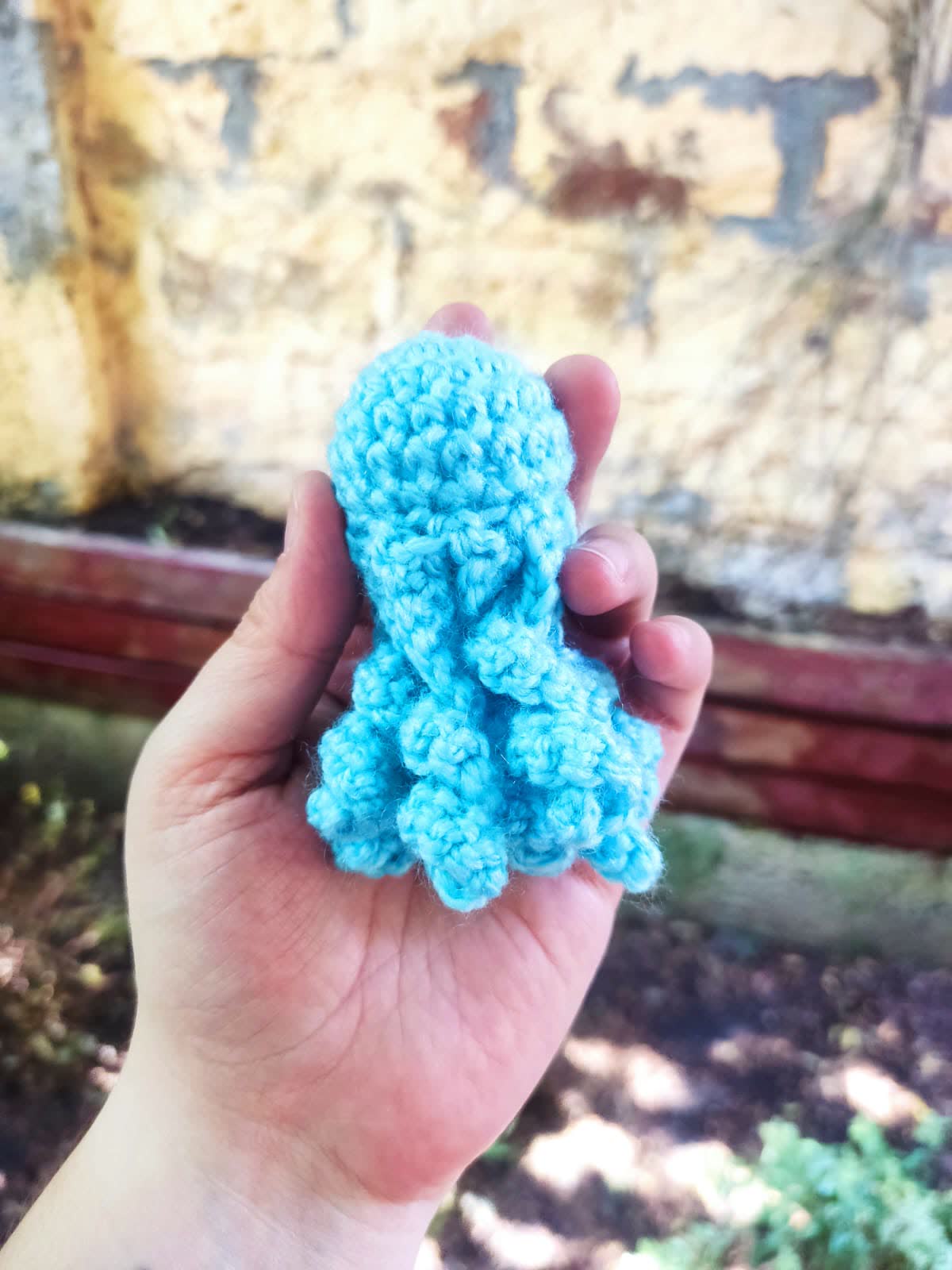 Mini Jellyfish 1