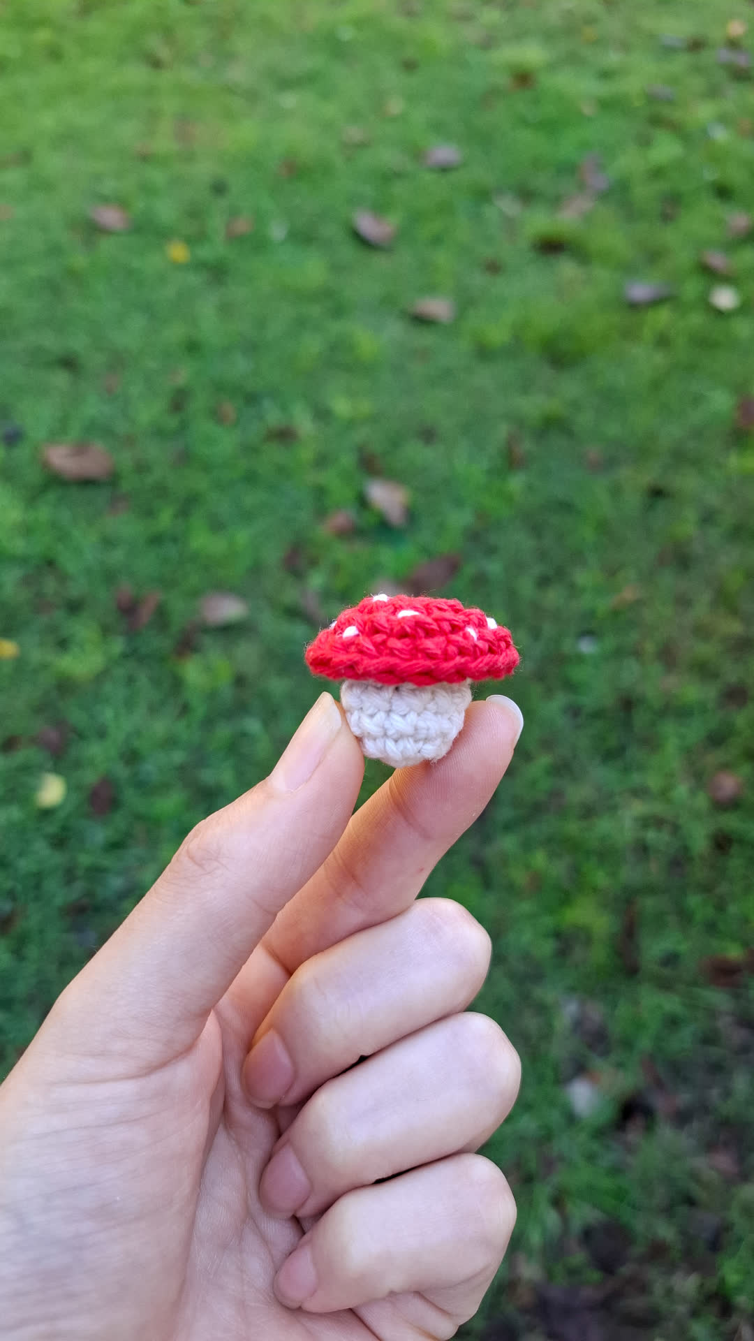 Mini Mushroom